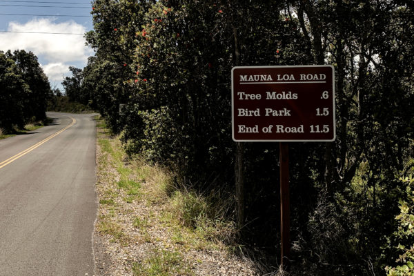 Mauna Loa Training – Exploring the First 34 miles through Kilauea
