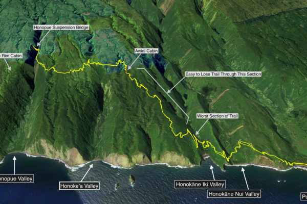 Hamakua Challenge Training – Pololu to Honopue – Out and Back