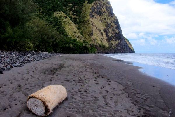 Hamakua Challenge Training – Waipi’o to Waimanu – Out And Back